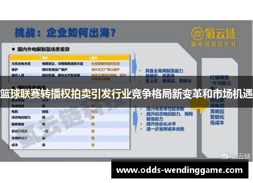 篮球联赛转播权拍卖引发行业竞争格局新变革和市场机遇