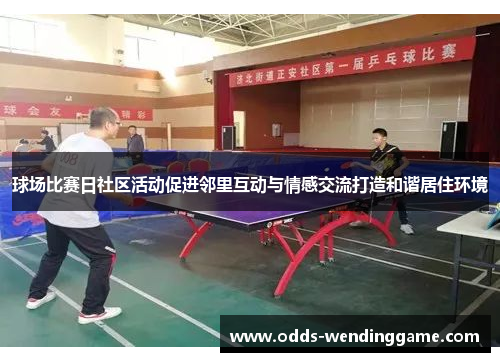 球场比赛日社区活动促进邻里互动与情感交流打造和谐居住环境