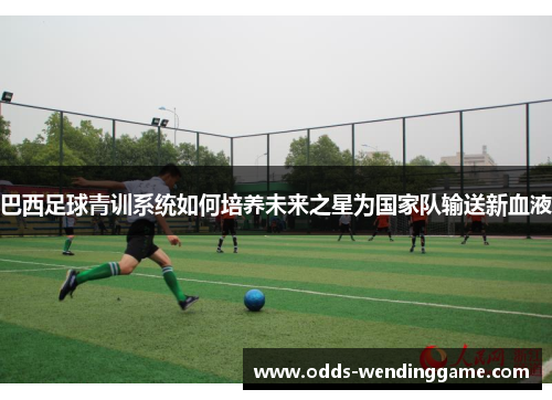 巴西足球青训系统如何培养未来之星为国家队输送新血液