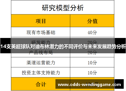 14支英超球队对迪布林潜力的不同评价与未来发展趋势分析