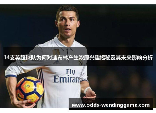 14支英超球队为何对迪布林产生浓厚兴趣揭秘及其未来影响分析