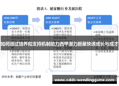 如何通过培养和支持机制助力西甲潜力新星快速成长与成才