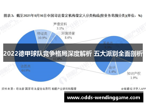 2022德甲球队竞争格局深度解析 五大派别全面剖析