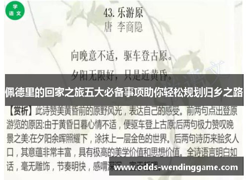 佩德里的回家之旅五大必备事项助你轻松规划归乡之路