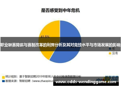 职业联赛降薪与赛制改革的利弊分析及其对竞技水平与市场发展的影响