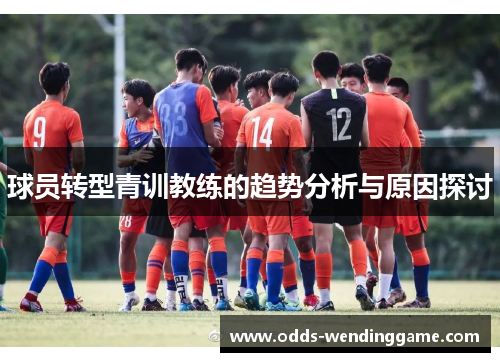 球员转型青训教练的趋势分析与原因探讨