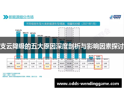 支云降级的五大原因深度剖析与影响因素探讨