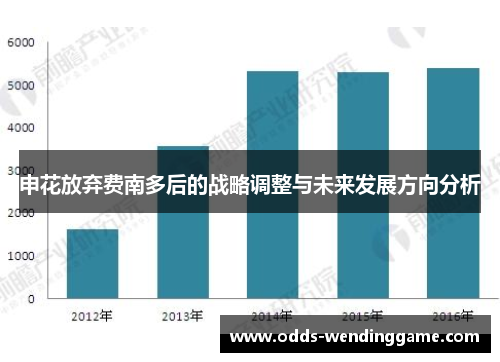 申花放弃费南多后的战略调整与未来发展方向分析