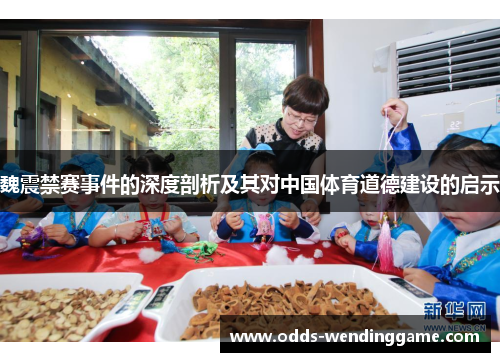 魏震禁赛事件的深度剖析及其对中国体育道德建设的启示