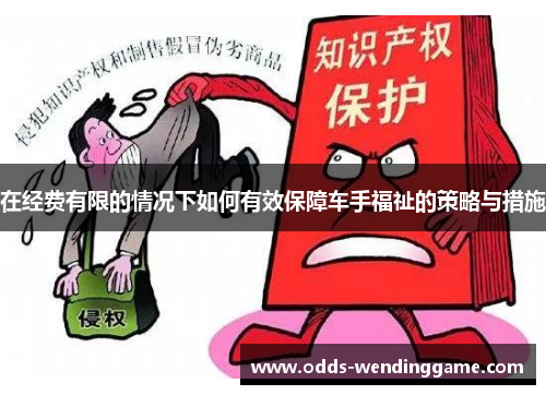 在经费有限的情况下如何有效保障车手福祉的策略与措施