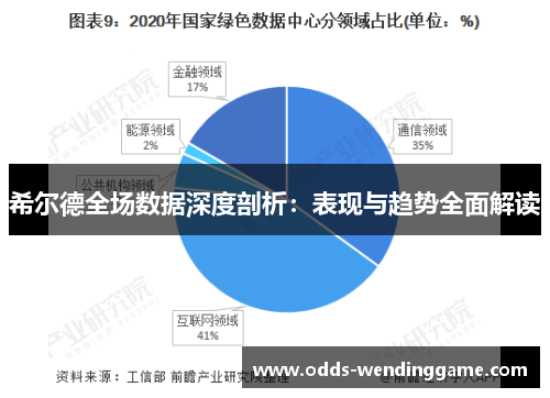 希尔德全场数据深度剖析：表现与趋势全面解读