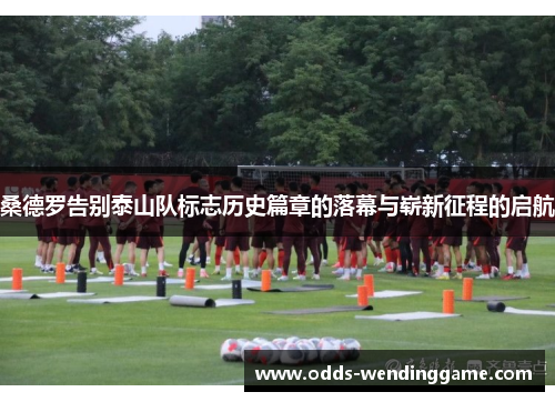 桑德罗告别泰山队标志历史篇章的落幕与崭新征程的启航