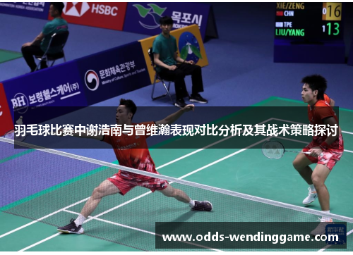 羽毛球比赛中谢浩南与曾维瀚表现对比分析及其战术策略探讨
