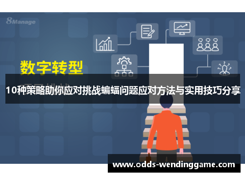 10种策略助你应对挑战蝙蝠问题应对方法与实用技巧分享