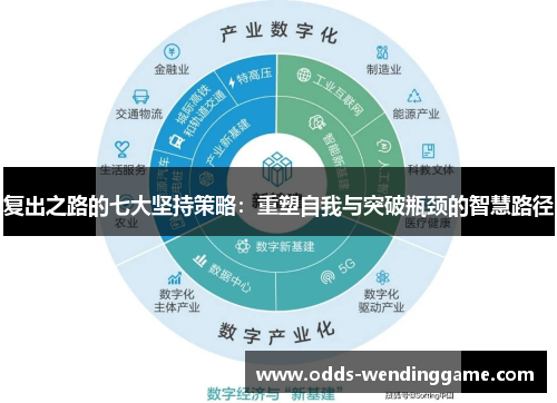 复出之路的七大坚持策略：重塑自我与突破瓶颈的智慧路径