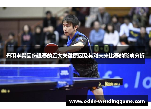 丹羽孝希因伤退赛的五大关键原因及其对未来比赛的影响分析
