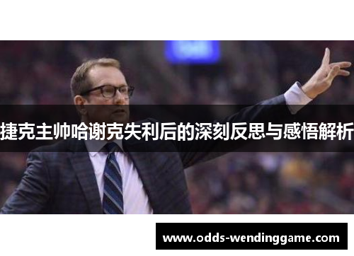 捷克主帅哈谢克失利后的深刻反思与感悟解析