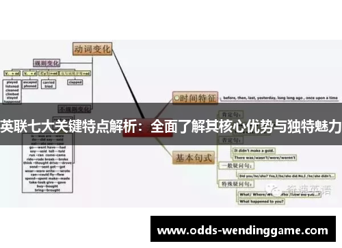 英联七大关键特点解析：全面了解其核心优势与独特魅力